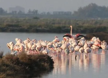 Casa vacanze La Maison D&d *