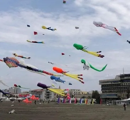 La Maison D&d Margherita Di Savoia