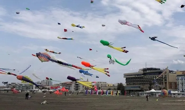 La Maison D&d Margherita Di Savoia